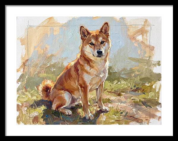 Shiba Inu In Natural Light