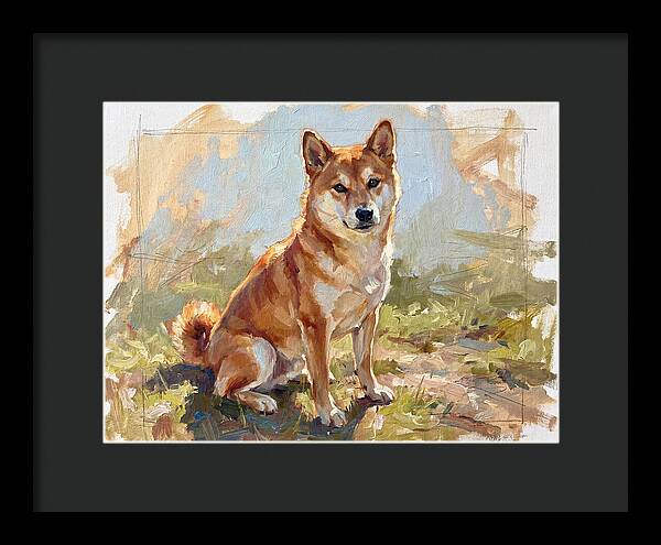 Shiba Inu In Natural Light