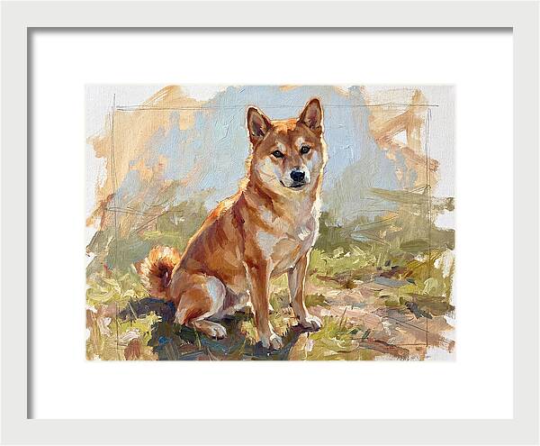 Shiba Inu In Natural Light
