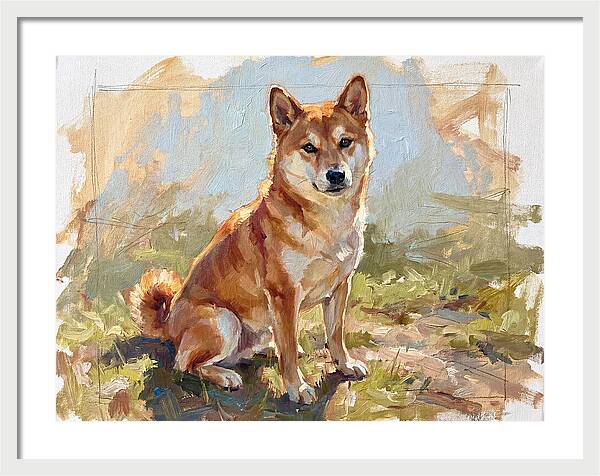 Shiba Inu In Natural Light