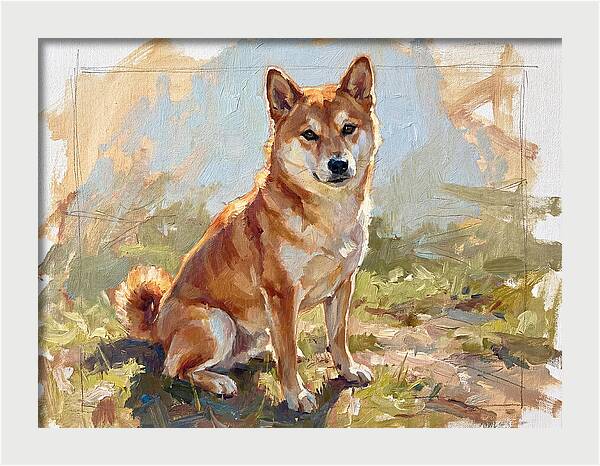 Shiba Inu In Natural Light