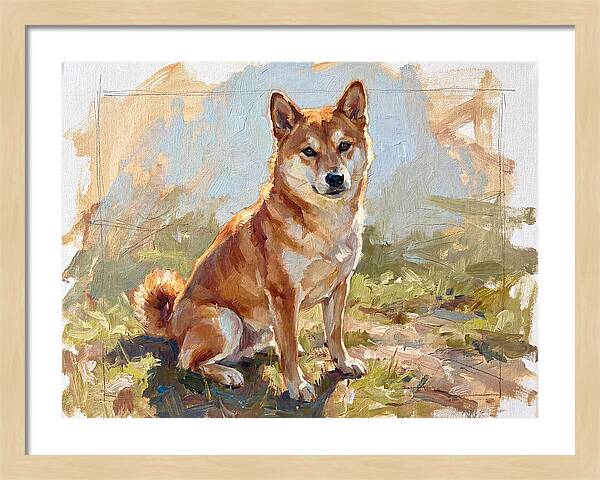 Shiba Inu In Natural Light