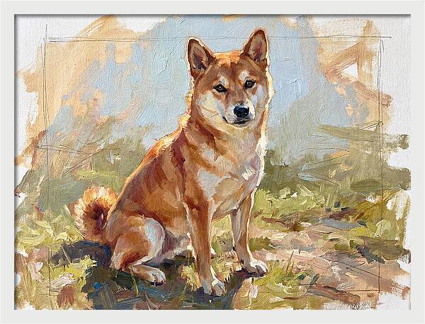 Shiba Inu In Natural Light