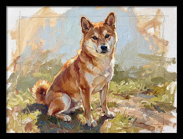 Shiba Inu In Natural Light