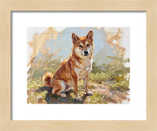 Shiba Inu In Natural Light