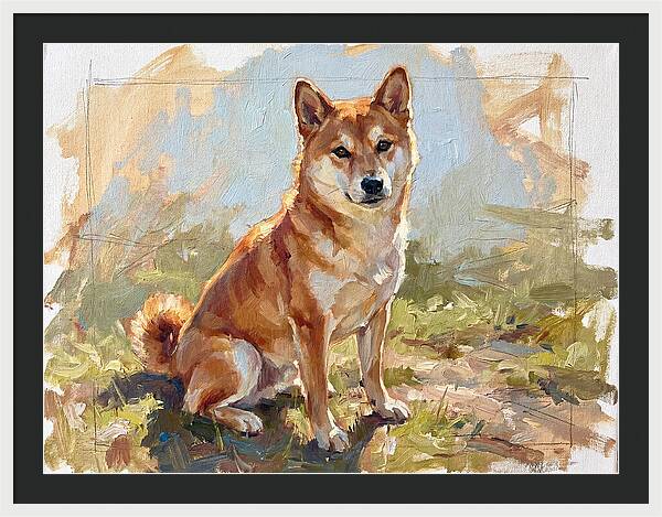Shiba Inu In Natural Light