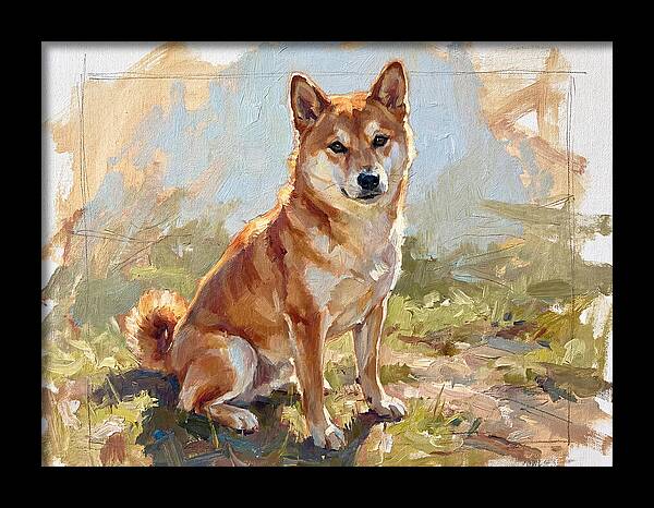 Shiba Inu In Natural Light