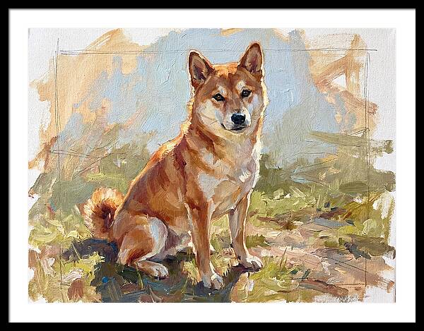 Shiba Inu In Natural Light