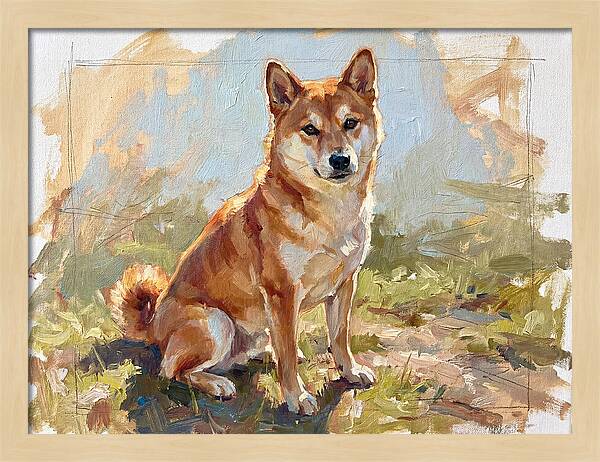Shiba Inu In Natural Light