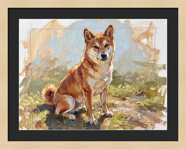 Shiba Inu In Natural Light