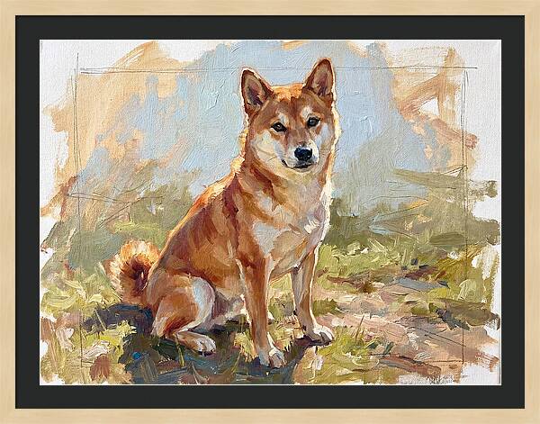 Shiba Inu In Natural Light