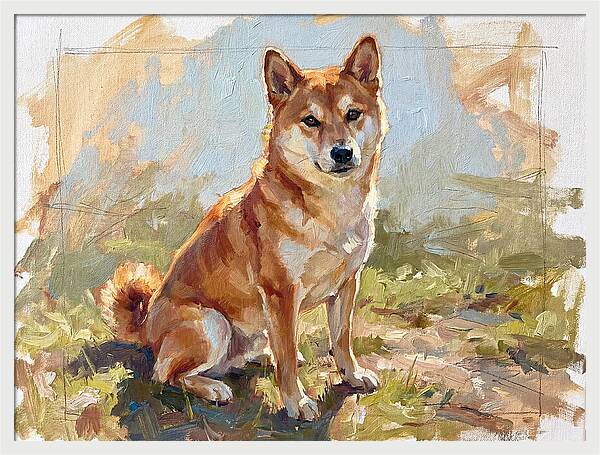 Shiba Inu In Natural Light