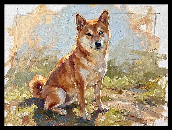 Shiba Inu In Natural Light