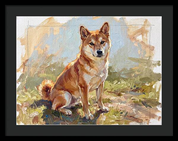Shiba Inu In Natural Light
