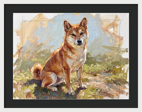 Shiba Inu In Natural Light