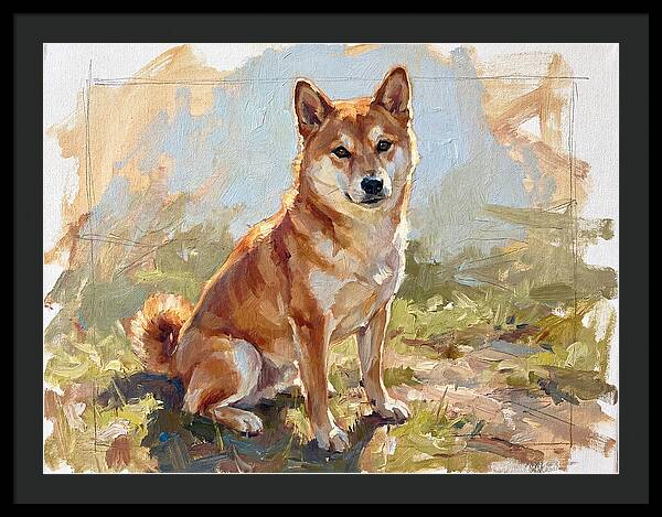 Shiba Inu In Natural Light