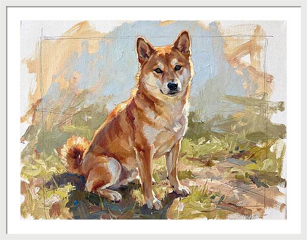 Shiba Inu In Natural Light
