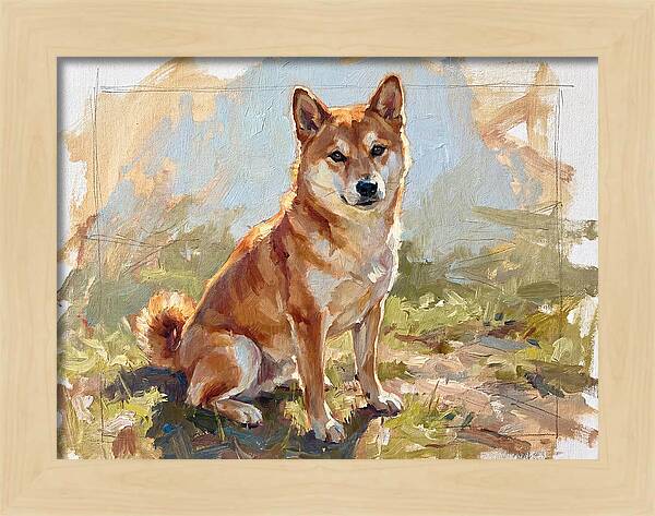 Shiba Inu In Natural Light