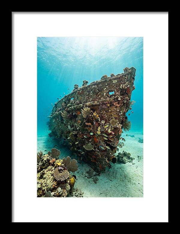Shipwreck Covered In Coral