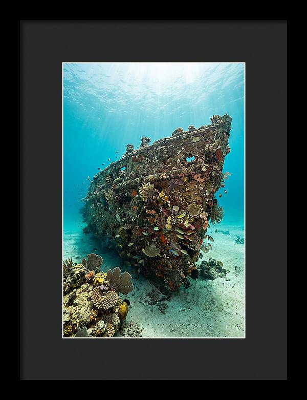 Shipwreck Covered In Coral