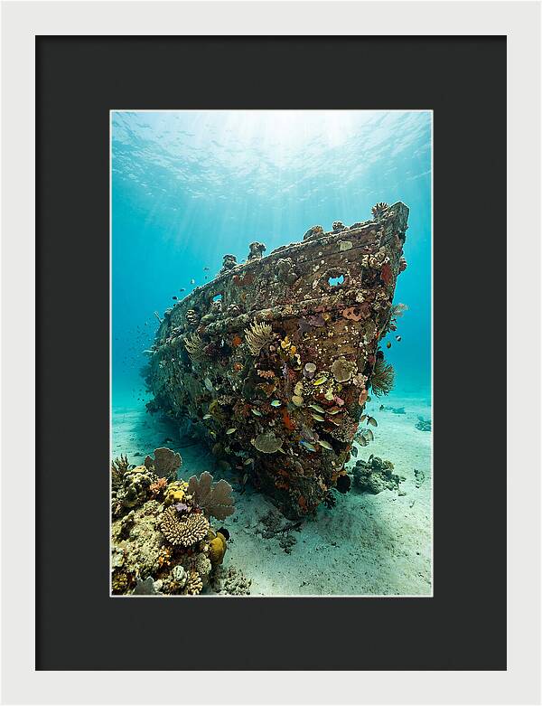 Shipwreck Covered In Coral