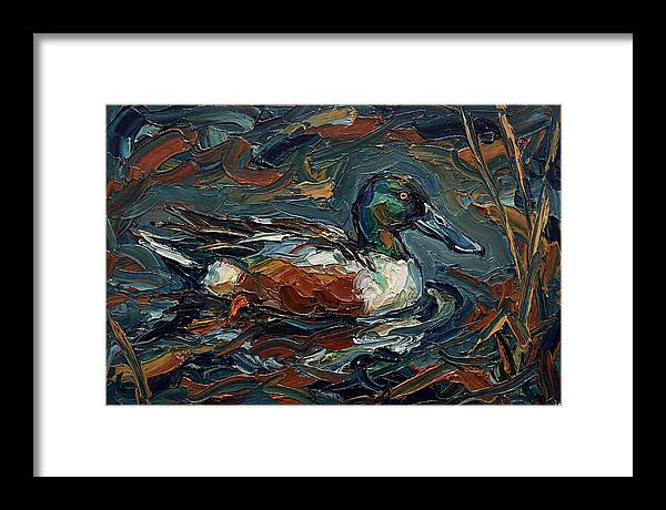 Shoveler Duck In Vibrant Waters