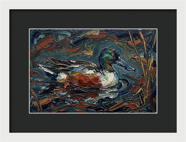 Shoveler Duck In Vibrant Waters