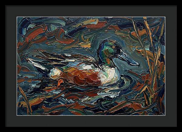 Shoveler Duck In Vibrant Waters