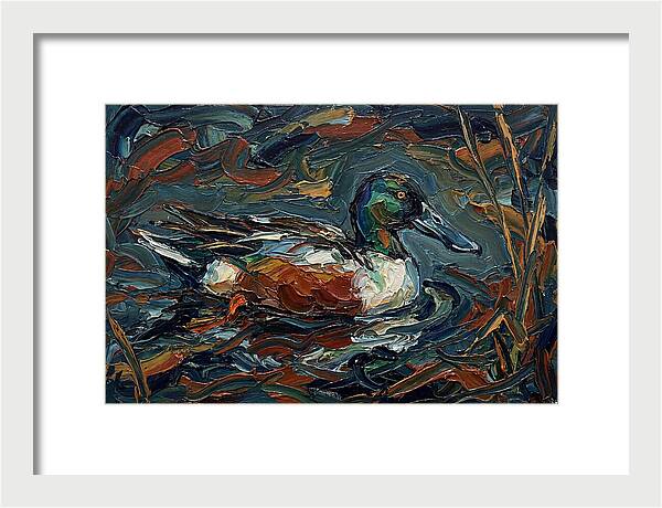 Shoveler Duck In Vibrant Waters