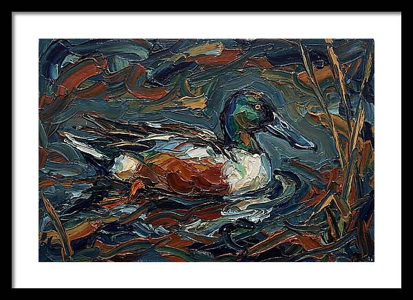 Shoveler Duck In Vibrant Waters