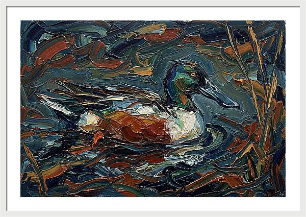 Shoveler Duck In Vibrant Waters