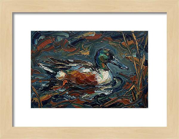 Shoveler Duck In Vibrant Waters