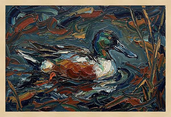 Shoveler Duck In Vibrant Waters
