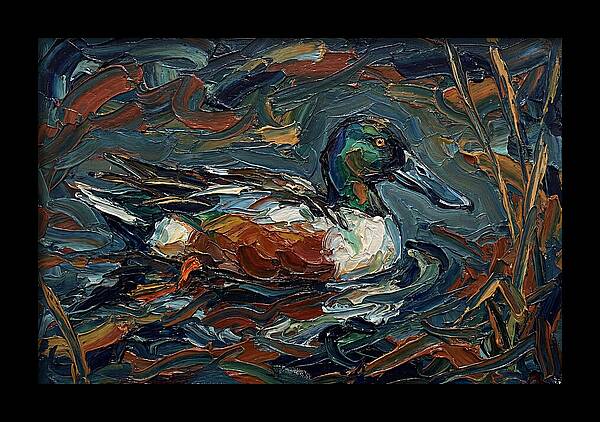 Shoveler Duck In Vibrant Waters