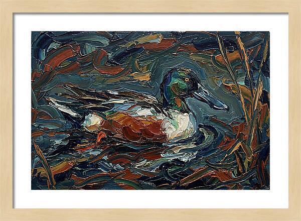 Shoveler Duck In Vibrant Waters