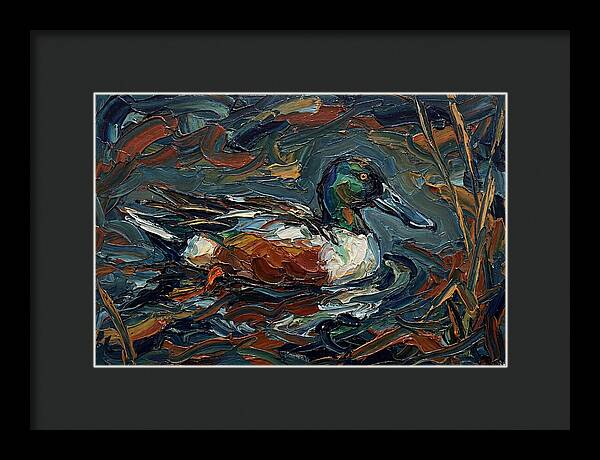 Shoveler Duck In Vibrant Waters