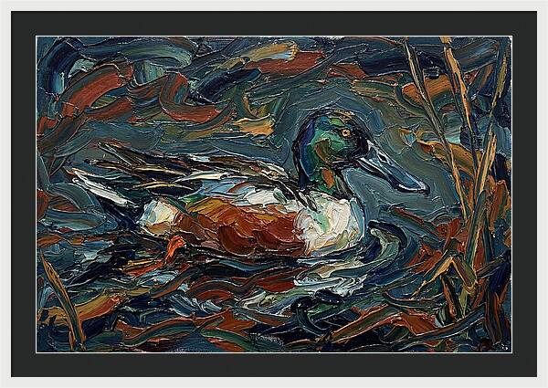 Shoveler Duck In Vibrant Waters
