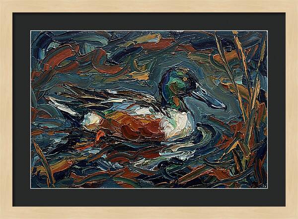 Shoveler Duck In Vibrant Waters