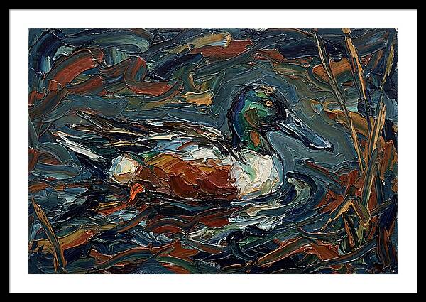 Shoveler Duck In Vibrant Waters