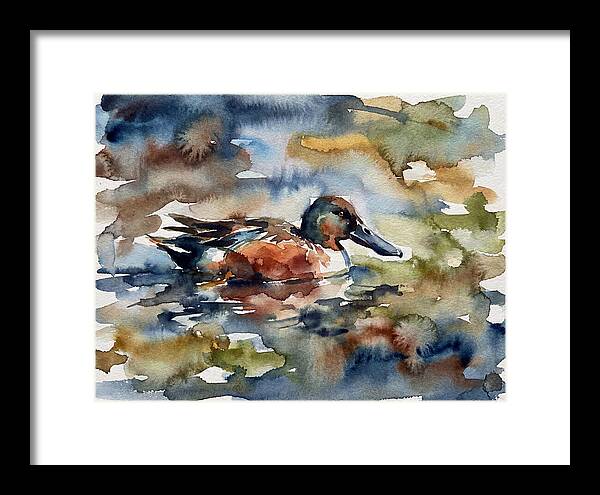 Shoveler Duck In Watercolor