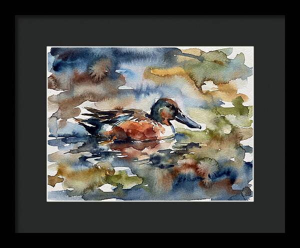 Shoveler Duck In Watercolor