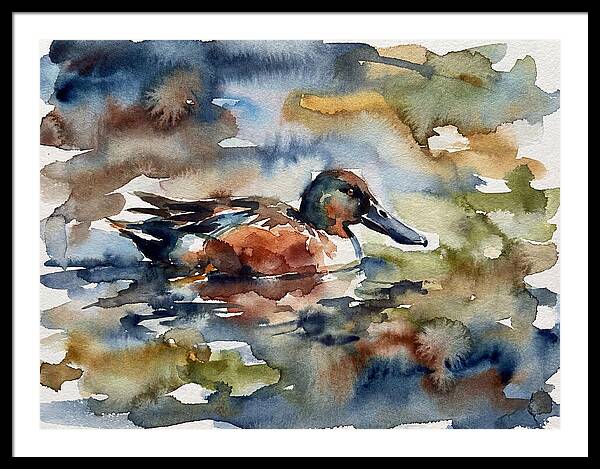 Shoveler Duck In Watercolor