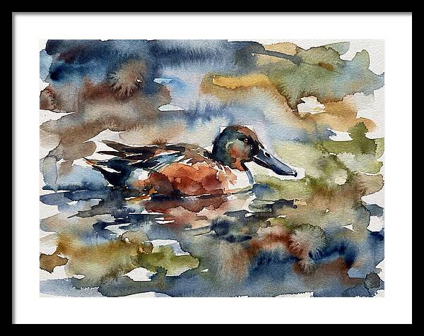 Shoveler Duck In Watercolor