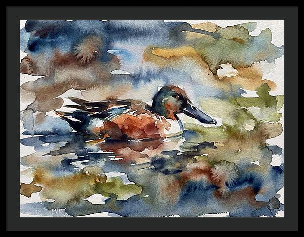 Shoveler Duck In Watercolor