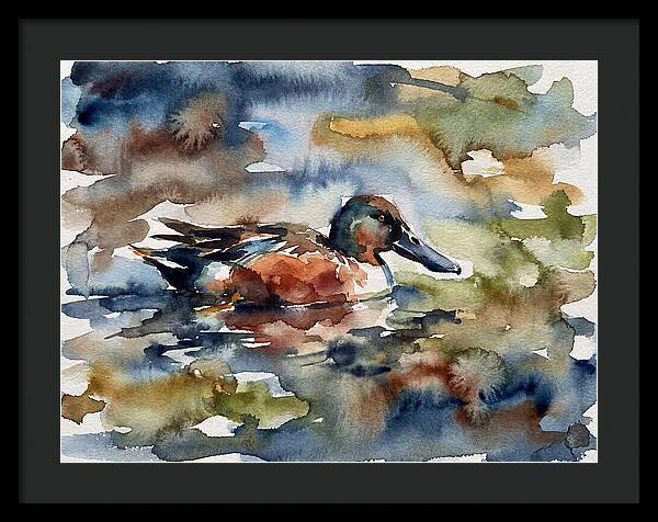 Shoveler Duck In Watercolor