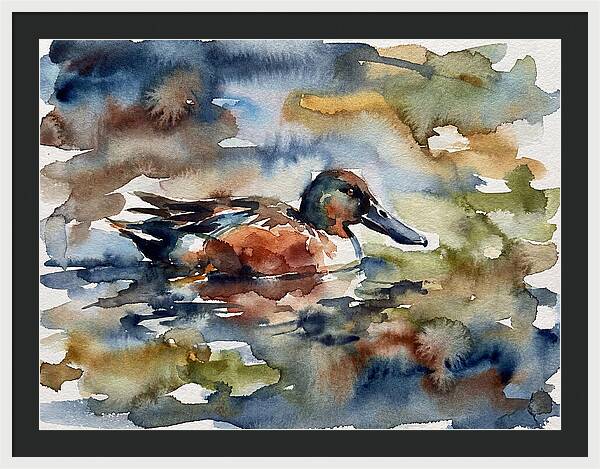 Shoveler Duck In Watercolor