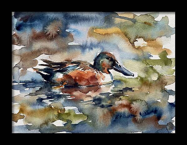 Shoveler Duck In Watercolor
