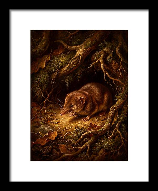 Shrew Among Roots And Leaves