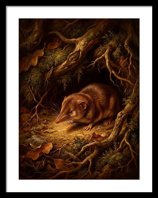 Shrew Among Roots And Leaves