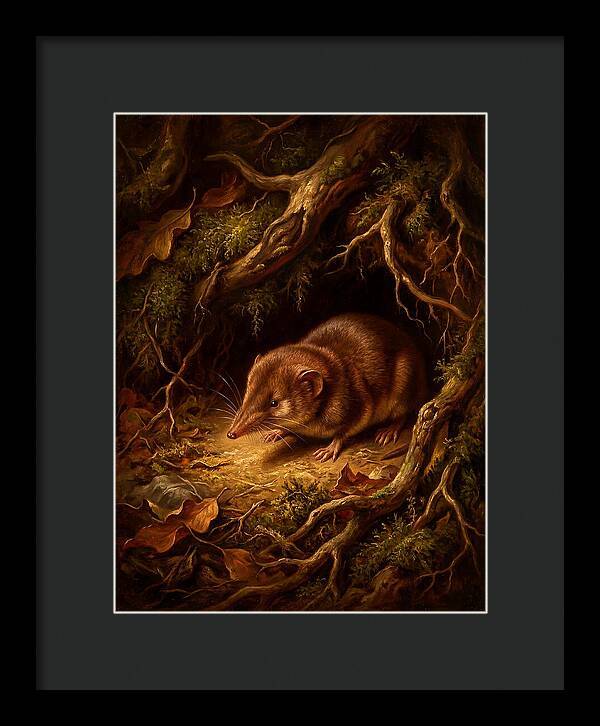 Shrew Among Roots And Leaves